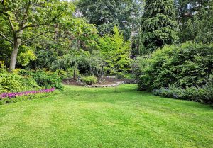 Optimiser l'expérience du jardin à Merlieux-et-Fouquerolles